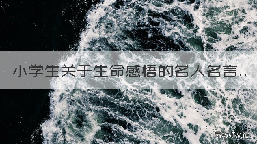 小学生关于生命感悟的名人名言 生命的名言小学生名人名言