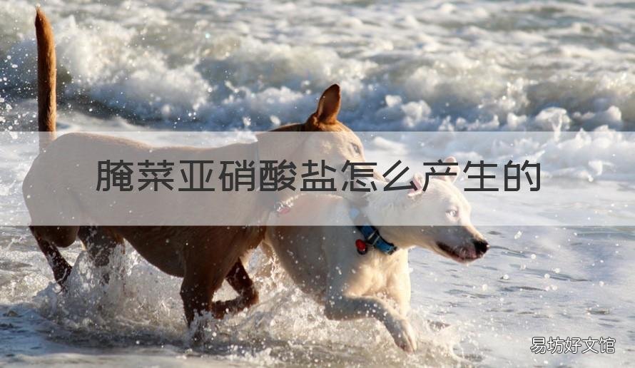 腌菜亚硝酸盐怎么产生的 腌菜亚硝酸盐怎么产生的呢