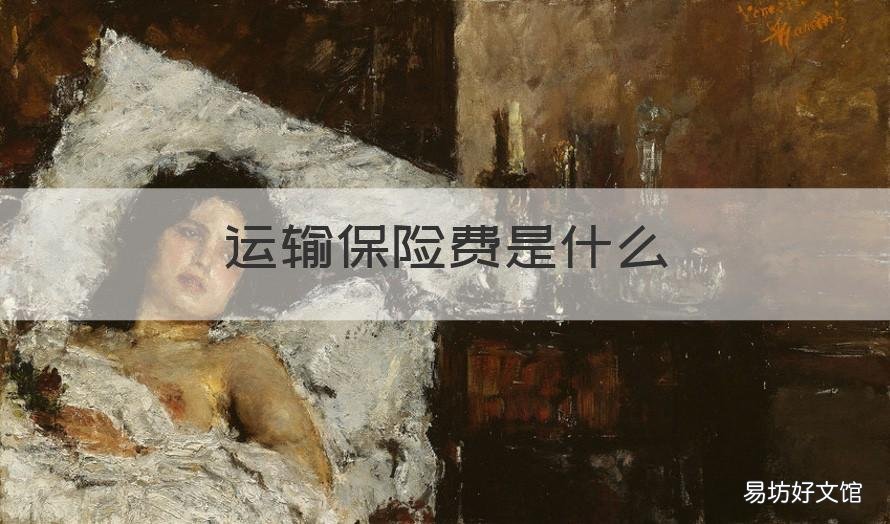 运输保险费是什么 运输保险费为什么要1-保险费