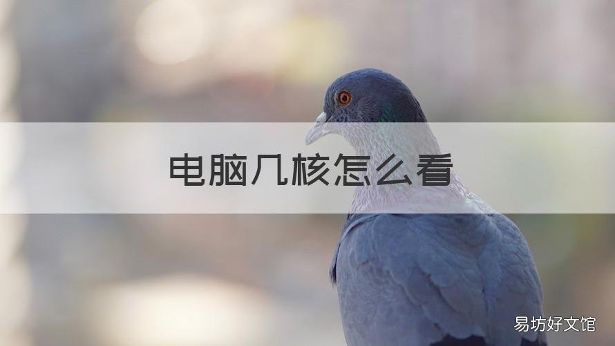 电脑几核怎么看 电脑是几核的怎么看