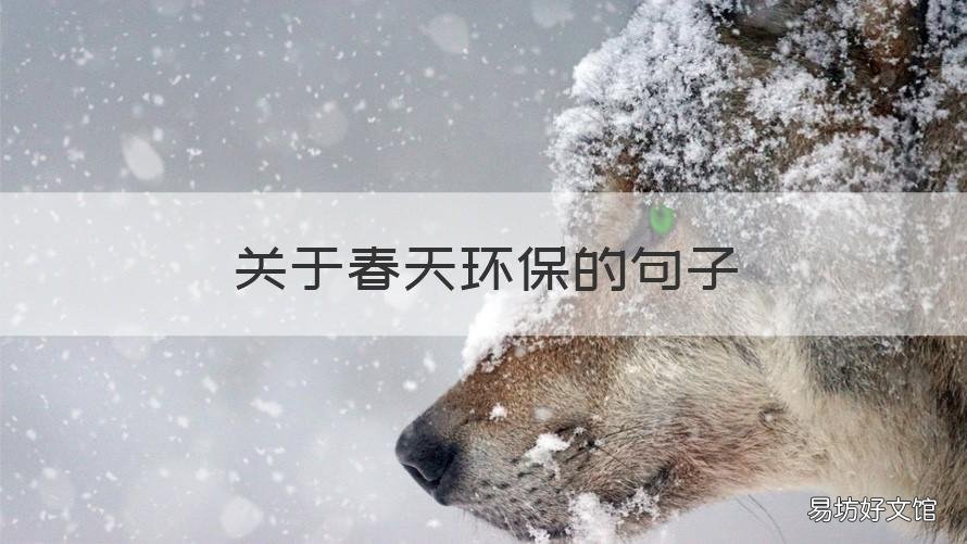关于春天环保的句子 关于春天保护环境的句子