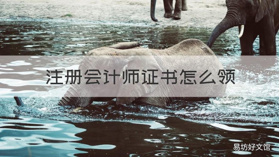 注册会计师证书怎么领 如何领取注册会计师证书