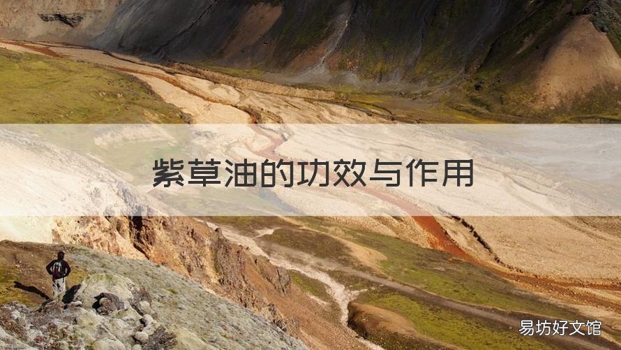 紫草油的功效与作用 紫草油的功效与作用宝宝红屁股