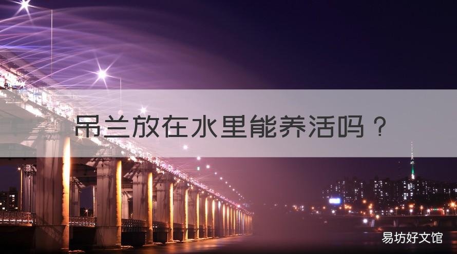 吊兰放在水里能养活吗 吊兰可以全部放在水里养吗