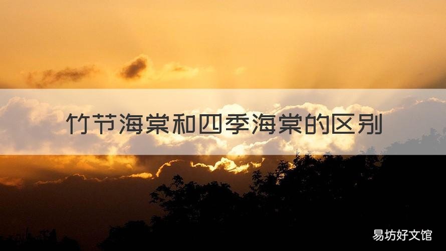 竹节海棠和四季海棠的区别 竹节海棠和秋海棠的区别