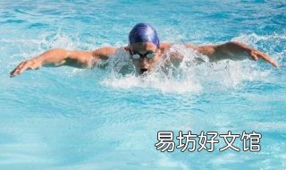 蝶泳技巧 蝶泳技巧与训练方法