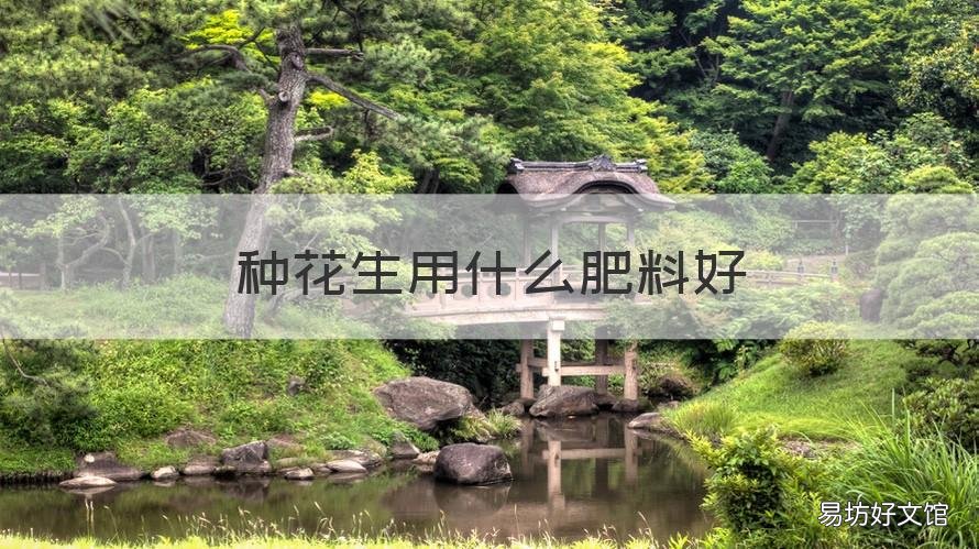 种花生用什么肥料好 种花生用什么肥料好些