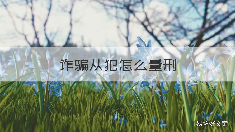 诈骗从犯怎么量刑 诈骗罪怎样量刑