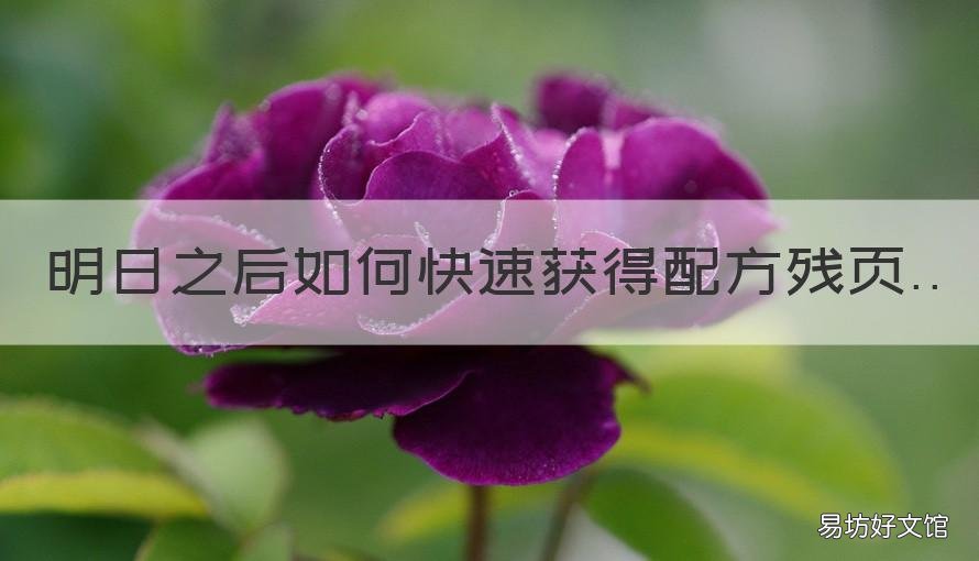 明日之后如何快速获得配方残页 明日之后怎么挣配方残页