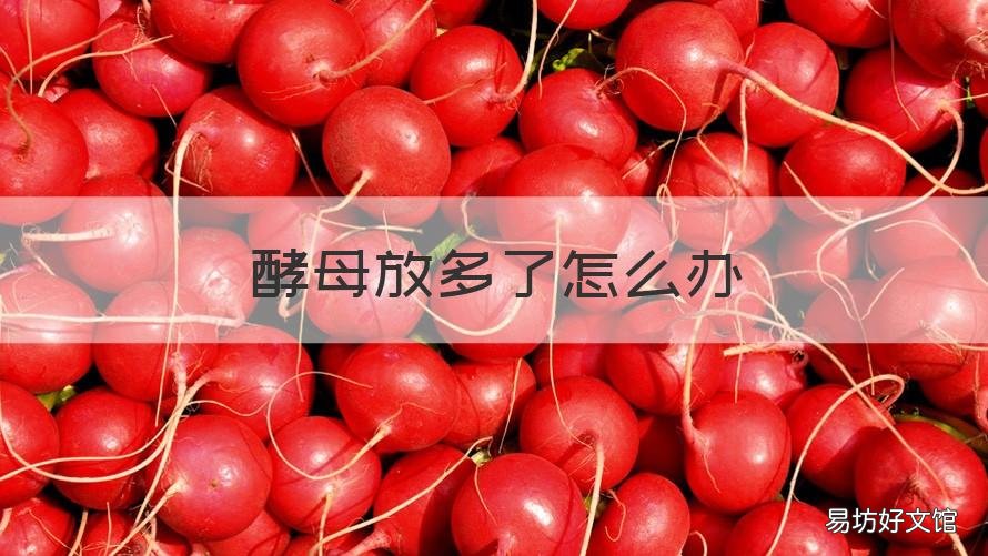 酵母放多了怎么办 和面的时候酵母放多了怎么办