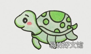 海龟怎么画 海龟怎么画简单又漂亮