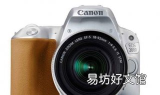 适合入门的单反相机 新入门单反相机用哪一款