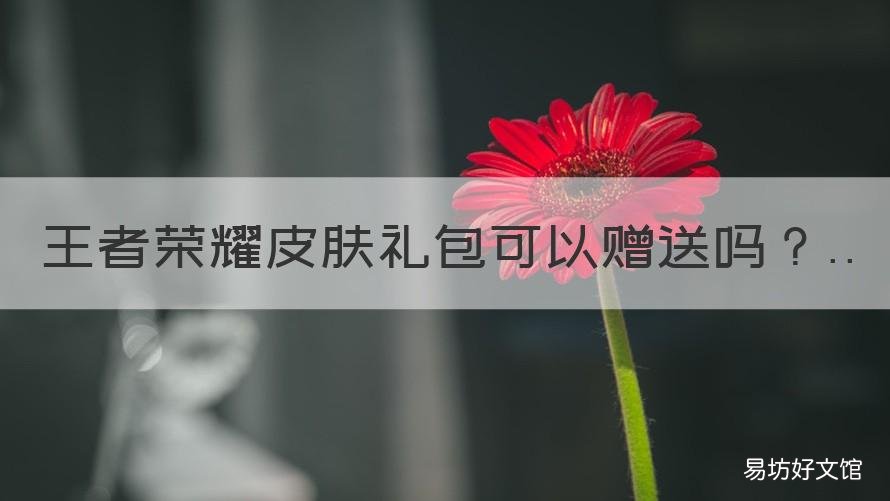 王者荣耀皮肤礼包可以赠送吗 王者皮肤可以赠送么