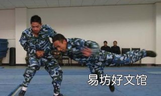 擒拿格斗技巧 实用擒拿格斗术