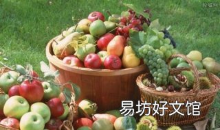 适合农村致富项目 现在农村致富项目有哪些农村致富小项目