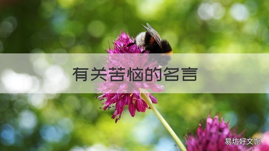 有关苦恼的名言 关于苦恼的名言
