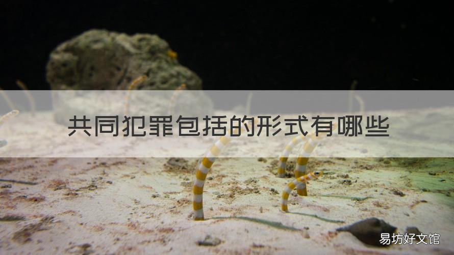 共同犯罪包括的形式有哪些
