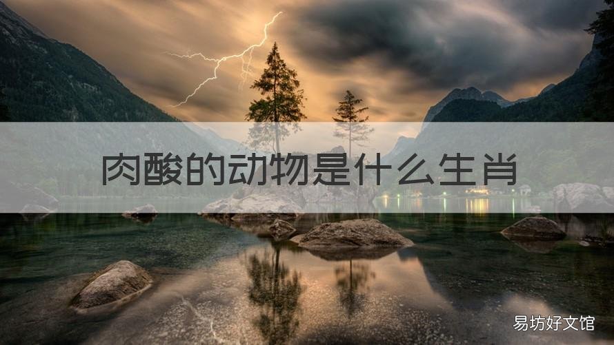 肉酸的动物是什么生肖 好吃肉类的动物是什么生肖
