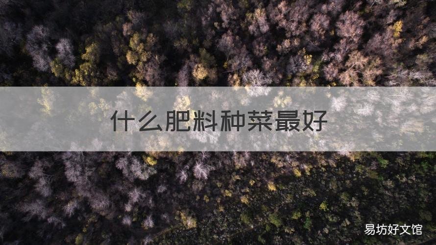 什么肥料种菜最好 什么肥料种菜,最快最好