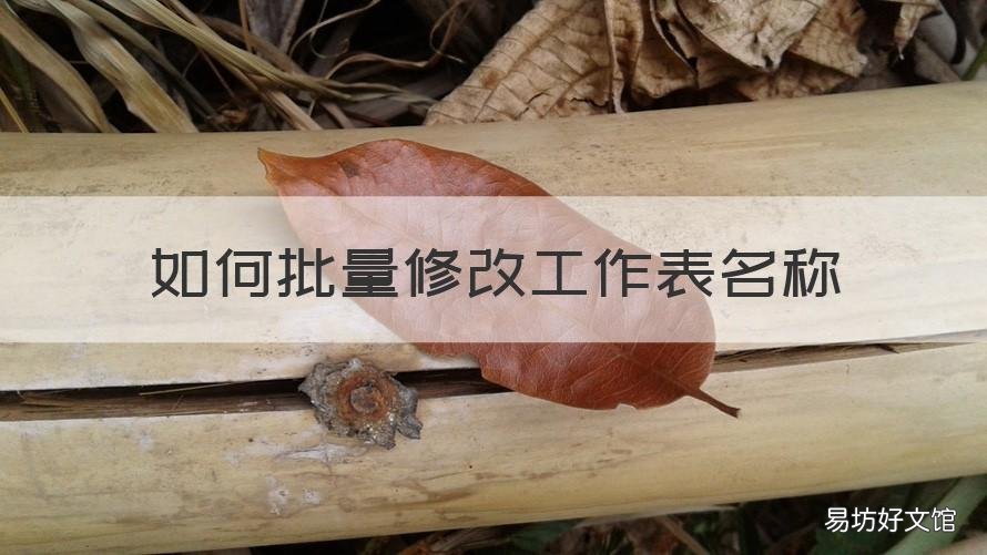 如何批量修改工作表名称 快速修改工作表名称