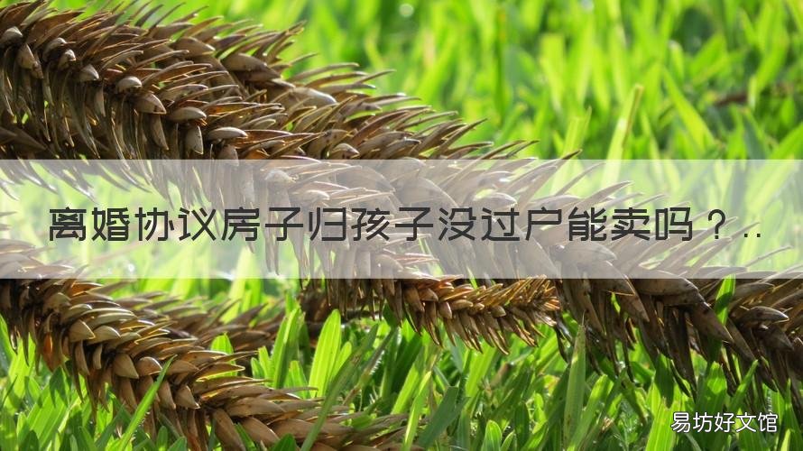 离婚协议房子归孩子没过户能卖吗 协议离婚后房产归孩子所有,但没过户