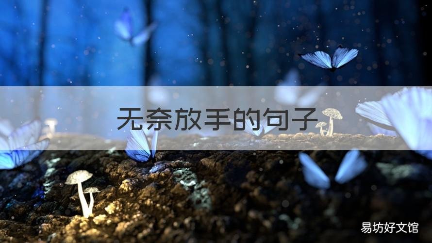 无奈放手的句子 无奈放下的句子