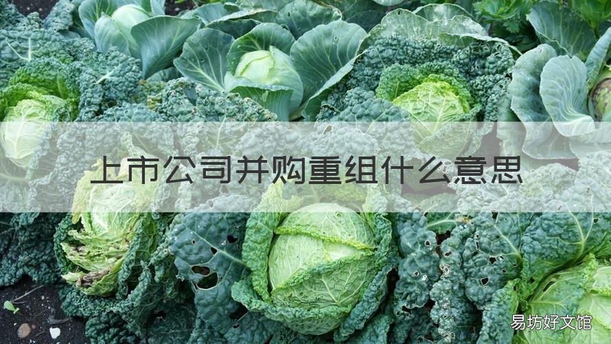 上市公司并购重组什么意思 上市公司并购与重组