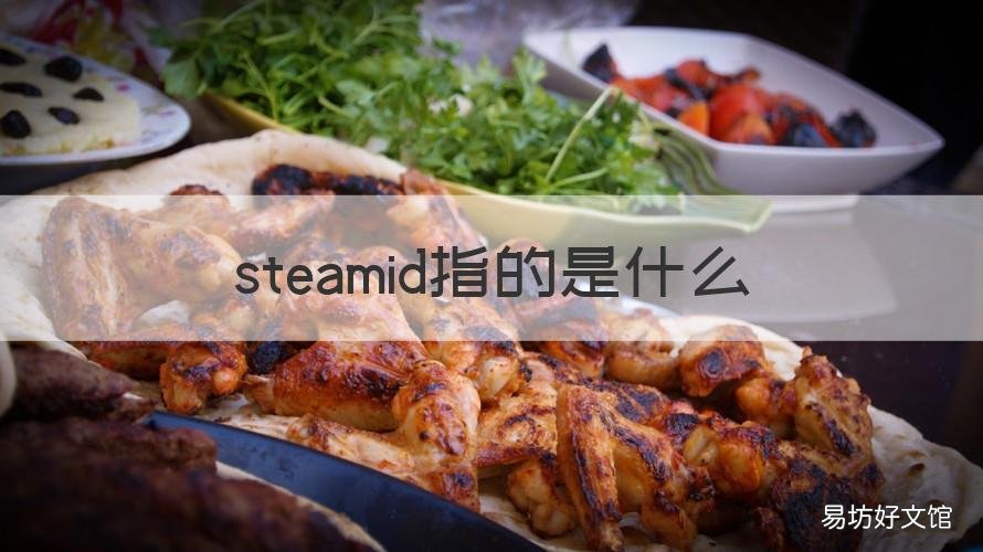 steamid指的是什么