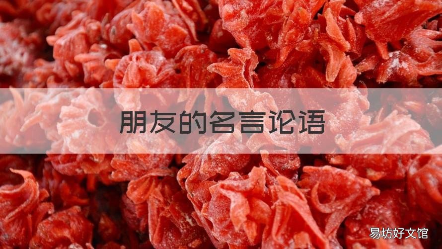 朋友的名言论语 关于朋友的名言经典论语