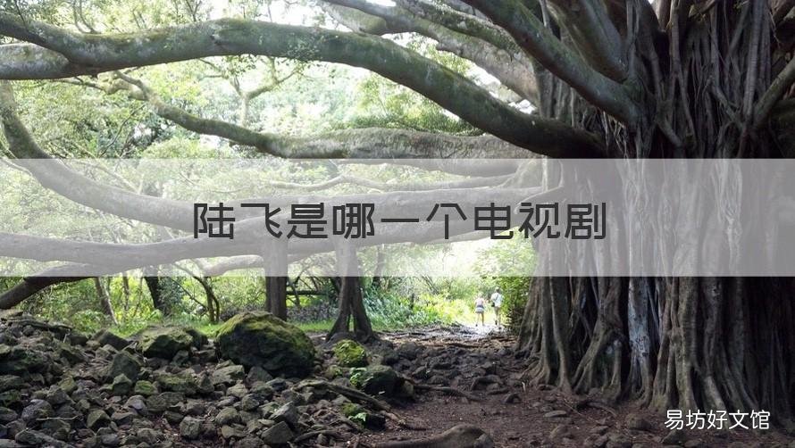 陆飞是哪一个电视剧 陆飞是哪一个电视剧主角