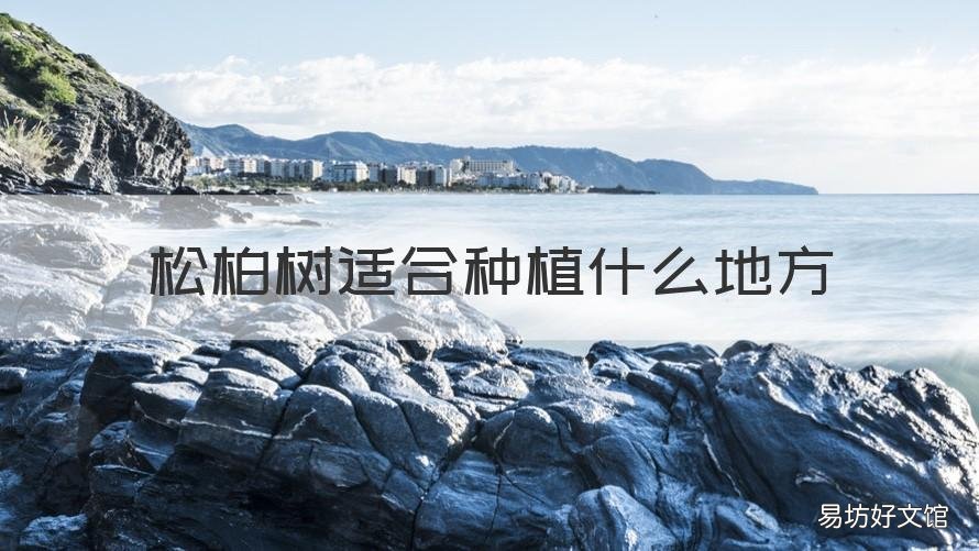松柏树适合种植什么地方 松柏树适合种植什么地方的植物