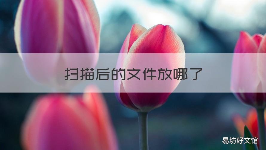 扫描后的文件放哪了 扫描时文件怎么放