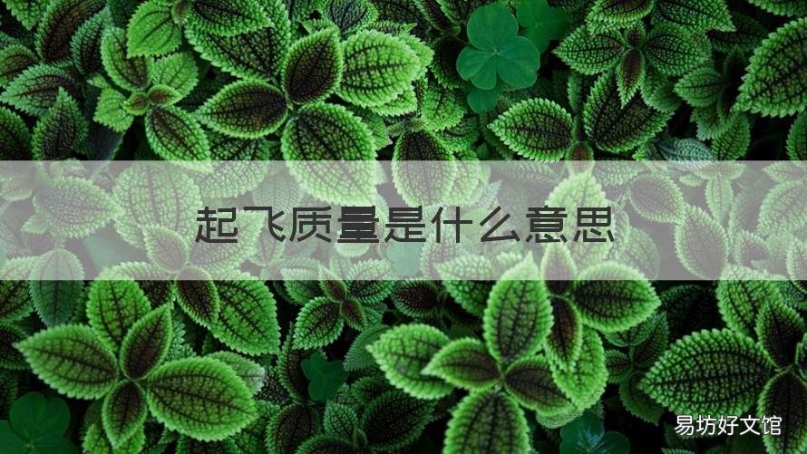 起飞质量是什么意思 火箭起飞质量什么意思