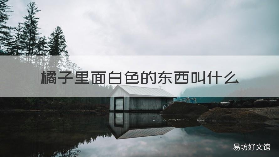 橘子里面白色的东西叫什么 橘子的白色的东西是什么