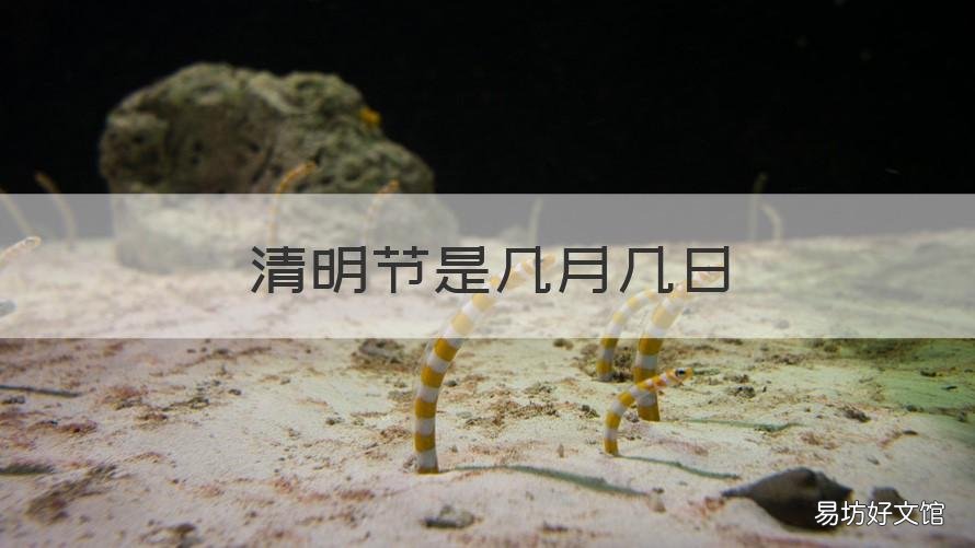 清明节是几月几日 清明节是几月几日星期几
