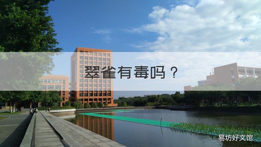 翠雀有毒吗 金丝雀有毒吗
