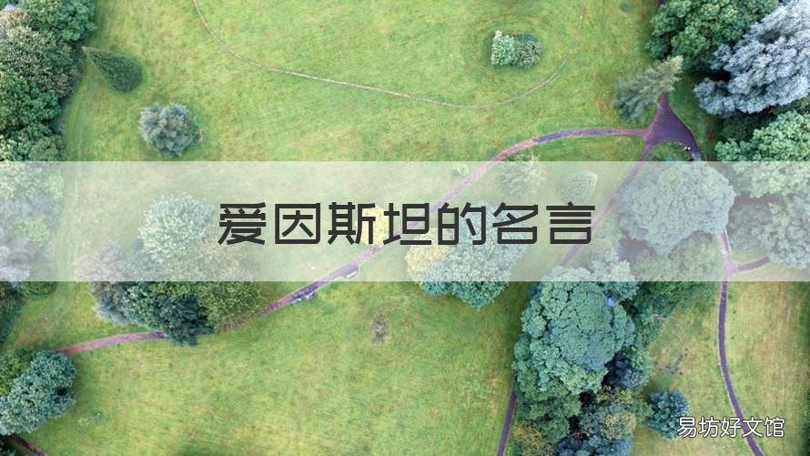 爱因斯坦的名言 爱因斯坦的名言名句努力和勤奋
