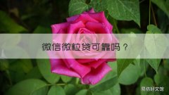 微信微粒贷可靠吗 微信微粒贷安全可靠吗