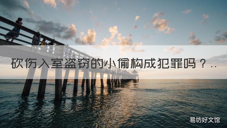 砍伤入室盗窃的小偷构成犯罪吗 小偷入室盗窃砍伤他有责任吗