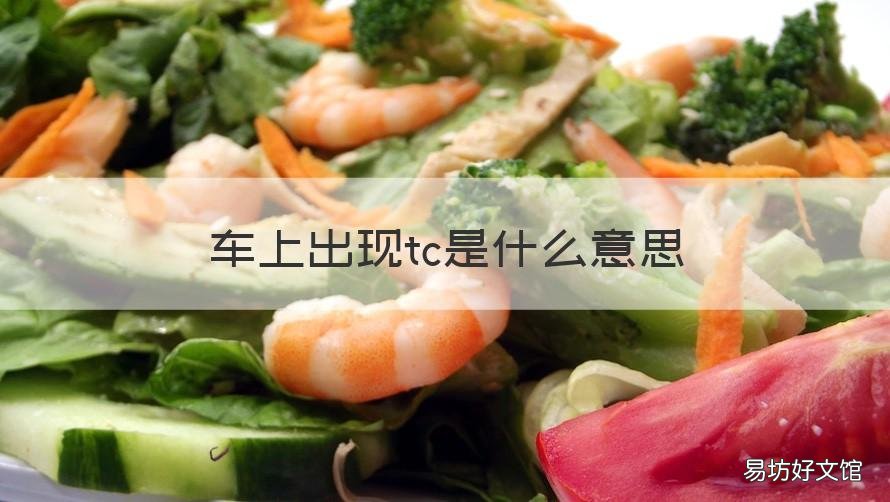 车上出现tc是什么意思