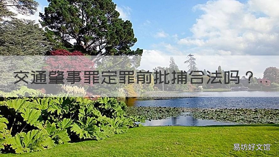交通肇事罪定罪前批捕合法吗