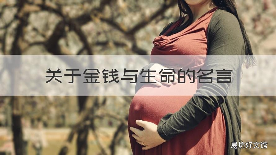 关于金钱与生命的名言 生命金钱的经典语录