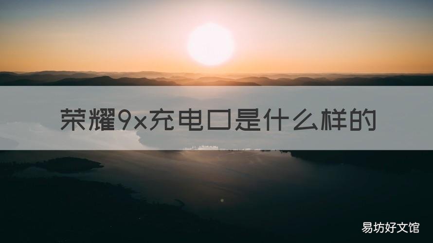 荣耀9x充电口是什么样的 荣耀9x是什么充电器接口