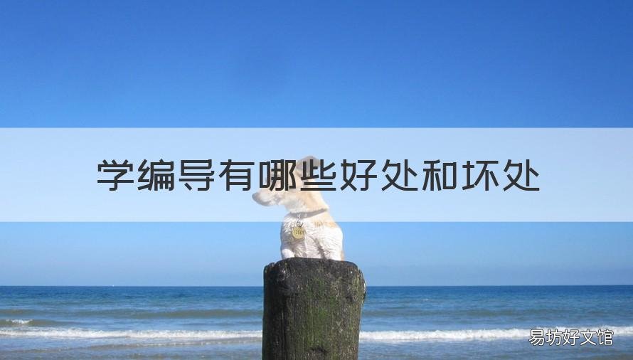 学编导有哪些好处和坏处 学编导有用吗
