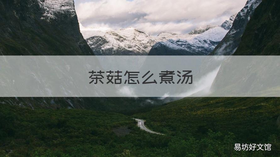 茶菇怎么煮汤 茶菇怎么煮汤好喝