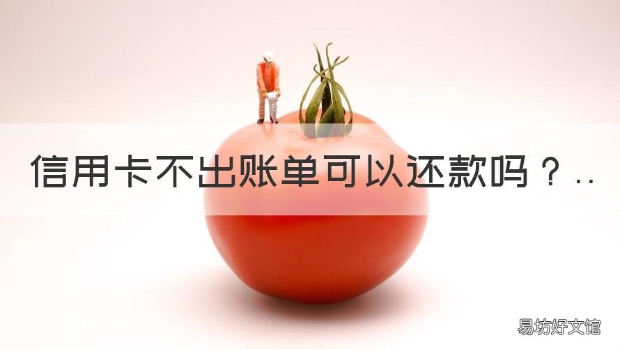 信用卡不出账单可以还款吗 未出账单的信用卡怎么提前还款
