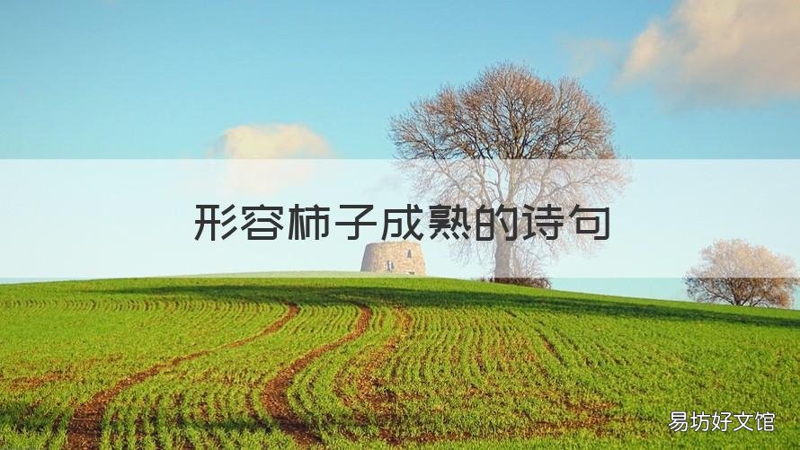 形容柿子成熟的诗句 形容柿子成熟的诗句唯美