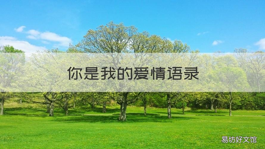 你是我的爱情语录 情感语录我爱你