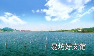 观赏鱼的养殖 观赏鱼的养殖方法