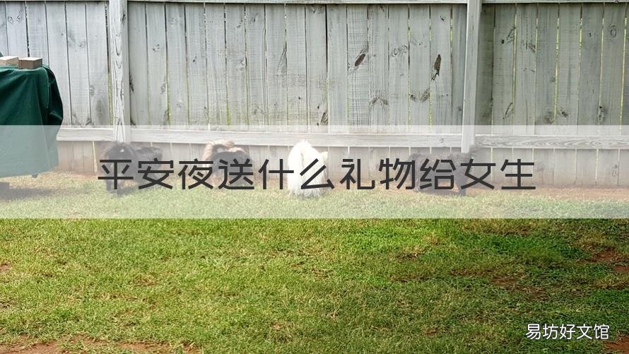 平安夜送什么礼物给女生 平安夜给女孩子送什么礼物